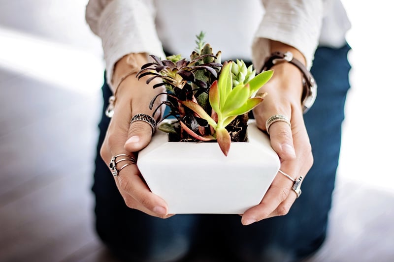 Recycled plant pots